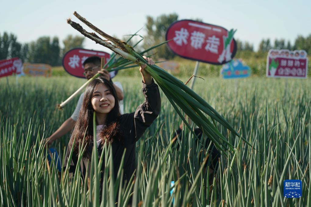 棋牌游戏下载